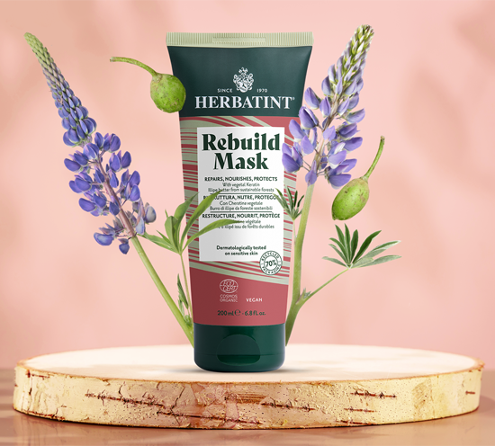 Rebuild-mask-plus-ingredients